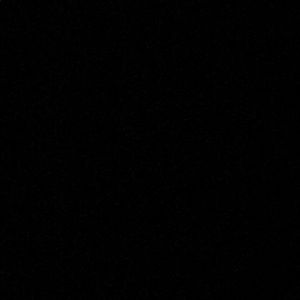 Meet your Posher, Patty